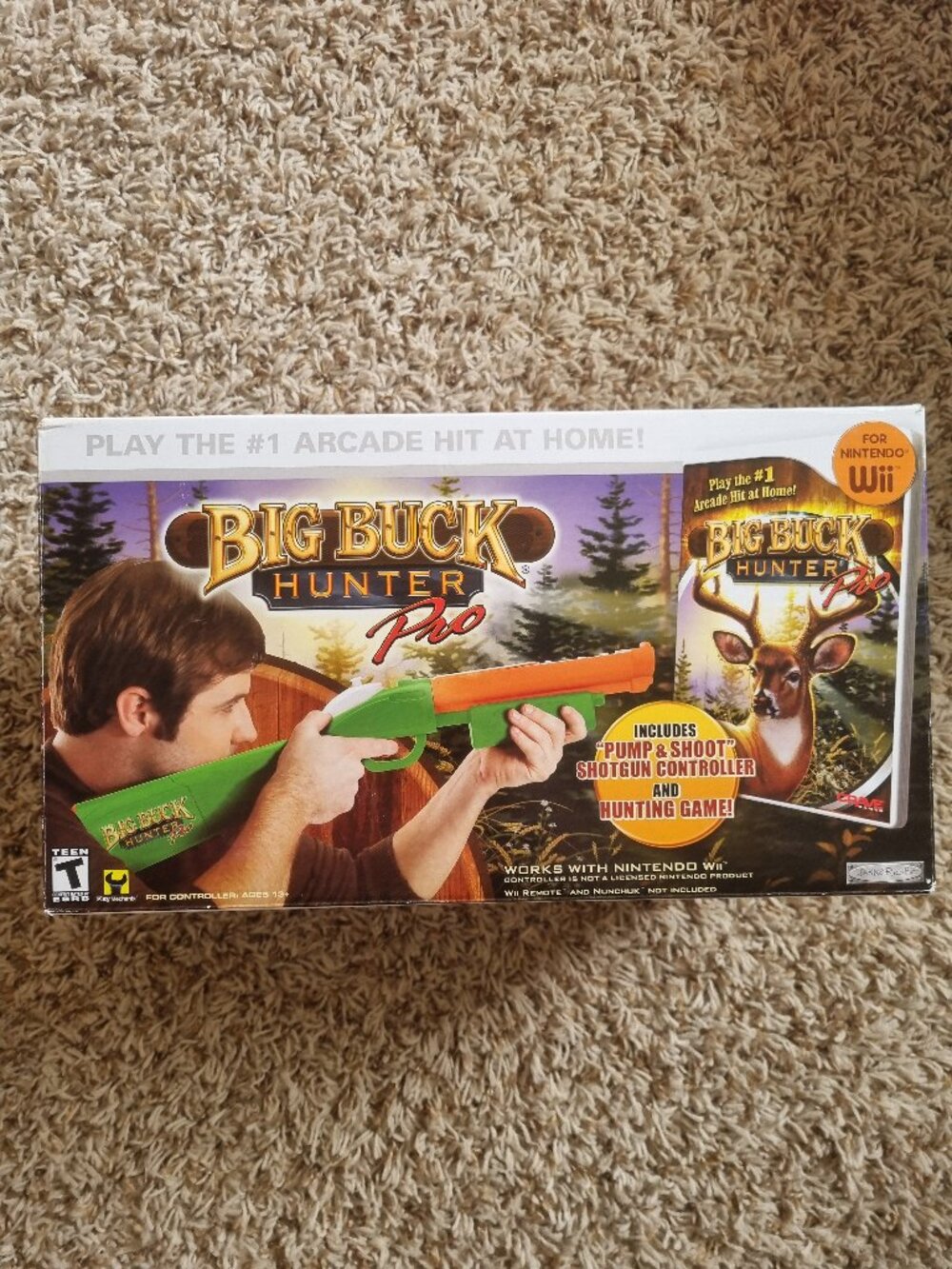 Big Buck Hunter Pro